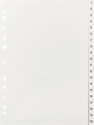 Image de Register 219 A4 20tlg 1-20 ws