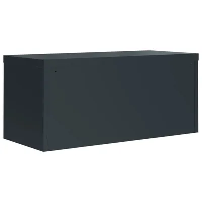 Produktbild von vidaXL Aktenschrank Anthrazit 90x40x40 cm Stahl