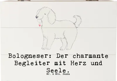 Produktbild von Mr. & Mrs. Panda kiste holz Bologneser Begleiter 22 x 15 cm - Weiß - Geschenk, Hunde für Familien, Aufbewahrungskiste, Hunderassen, Hunderasse, geschenkkiste, charmanter