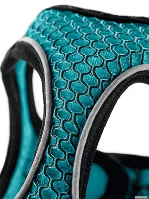Produktbild von HUNTER Geschirr Hilo Comfort XS, türkis