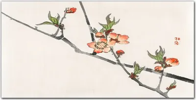 Produktbild von Coloray Küchenrückwand 120x60 Spritzschutz aus Glas - Branchen Blumen Natur