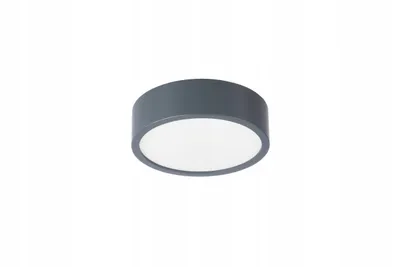 A modern, round ceiling light with a gray frame and a white diffuser is shown against a plain white background.
