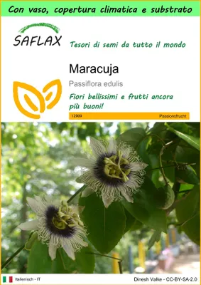 Immagine prodotto di SAFLAX Garden to go - Maracuja - 40 semi - Passiflora