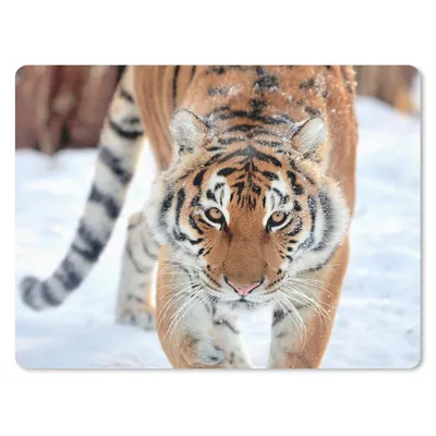 Produktbild von MuchoWow® Mauspad Mousepad Tiger - Schnee - Tiere 23x19 cm - Mousepads - Maus Mat - Pad - Mausunterlage - Schreibtischunterlage - Mauspad