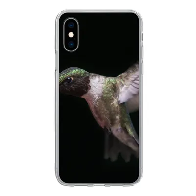 Produktbild von MuchoWow® Handyhülle Schutzhülle Hülle für iPhone X Rubinkehl-Kolibri auf schwarzem Hintergrund Silikon Softcase Handy Hülle