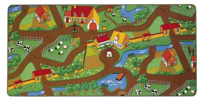 Obrázok produktu pre Oboustranný koberec malý 67 x 100cm