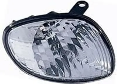 Produktbild von VAN WEZEL 5392908 Blinker vorne rechts