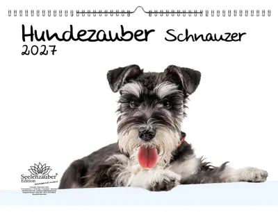 Produktbild von Hundezauber Schnauzer DIN A3 Kalender für 2027 Welpen und Hunde - Seelenzauber