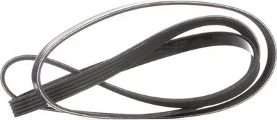 Produktbild von DAYCO Keilrippenriemen 5PK1800 5PK1800DAY