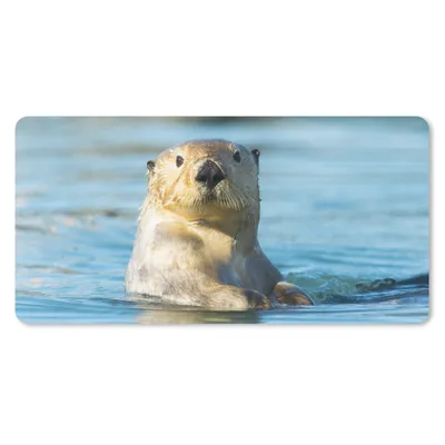 Produktbild von MuchoWow® Mauspad Mousepad Weißer Otter schwimmt 60x30 cm - Mousepads - Maus Mat - Pad - Mausunterlage - Nachhaltig