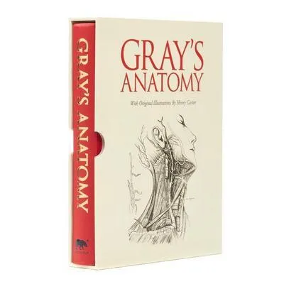 Zdjęcie produktu dla Gray's Anatomy