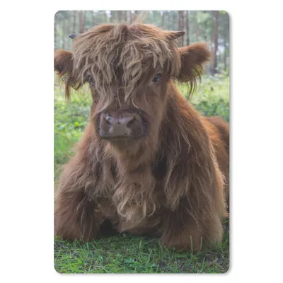 Produktbild von MuchoWow® Mauspad Mousepad Schottischer Highlander - Kröte - Tiere 18x27 cm - Mousepads - Maus Mat - Pad - Mausunterlage