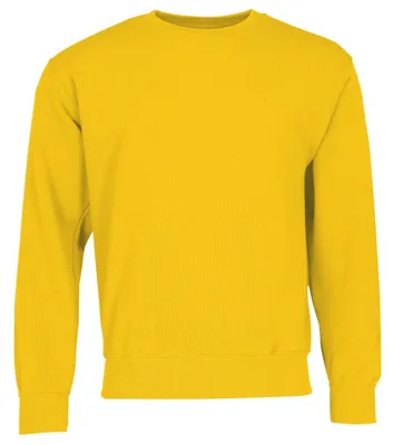 Produktbild von CLASSIC SET-IN SWEAT | Sweatshirt für Herren und Damen – Baumwolle-Polyester-Mix, Rundhals, Classic Fit