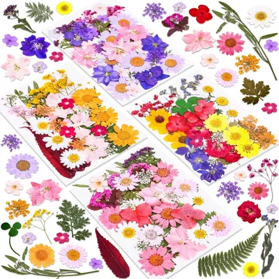Immagine prodotto di Omgoods - 140 pezzi di fiori secchi per resina e creazioni fai-da-te