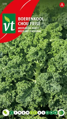 Produktbild von Grünkohl Westland Herbst Samen - Ca. 2 gr | VT_550