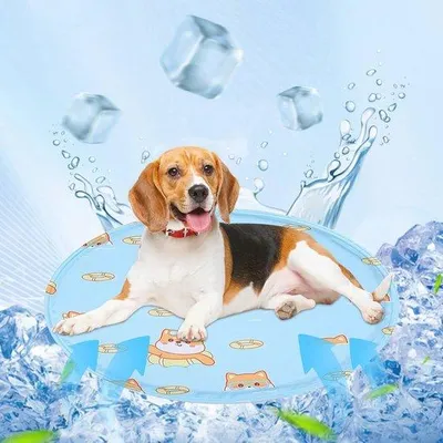 Produktbild von Famanu Kühlmatte für Hunde und Katzen - Selbstkühlende Decke und Kissen - Blau (L 50 cm)
