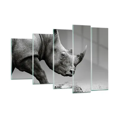 Produktbild von Bilder auf glas - 5 Teile - Nashorn Monochrom Tier - 150x100cm - Glasbilder - Wandbilder - Bilder - zum Aufhängen bereit - Wanddekoration aus Glas - Glas Bilder - Wandbild auf Glas - GEG150x100-4954