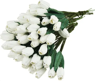 Immagine prodotto di TULPEN 12mm 50pcs Scrapbooking Fiori di carta di gelso, bianco