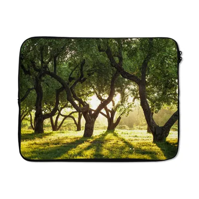 Produktbild von MuchoWow® Laptop Hülle 17 Zoll Laptoptasche Bäume - Natur - Sonne - Zipper - Schutzabdeckung