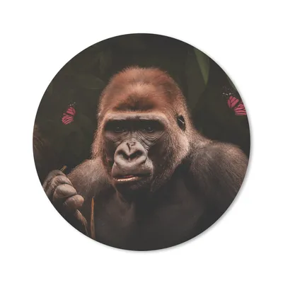 Produktbild von MuchoWow® Mauspad Mousepad Tiere - Schmetterling - Affe 20x20 cm - Mousepads - Maus Mat - Pad - Mausunterlage - Schreibtischmatte
