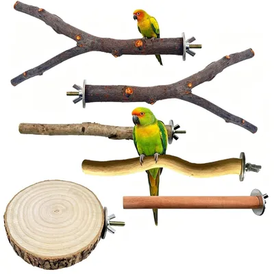 Produktbild von Set mit 6 natürlichen Holz-Sitzstangen für Vögel