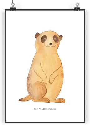 Produktbild von Mr. & Mrs. Panda Bild Erdmännchen DIN A4 - Weiß - Geschenk, Reisen, Wandbild, Plakat, Spruch, Afrika, Traveling, Kunstdruck, Deko, wanddeko, Roadtrip