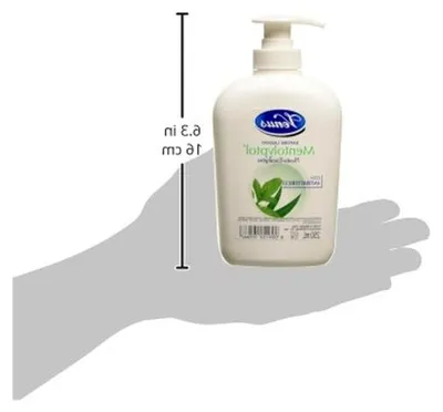 Produktbild von Händeseifenspender, antibakteriell, 250 ml