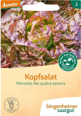 Produktbild von Kopfsalat Merveille