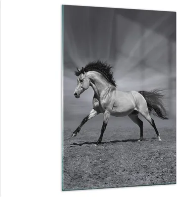 Produktbild von Bilder auf glas - Einteilig - Pferd Tier Natur - 80x120cm - Glasbilder - Wandbilder - Bilder - zum Aufhängen bereit - Wanddekoration aus Glas - Glas Bilder - Wandbild auf Glas - GPA80x120-3608