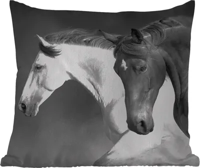Produktbild von MuchoWow® Outdoor Kissen - Pferde - Tiere - Schwarz - Weiß - Porträt - 40x40 cm - Wetterfest - Lounge Kissen - Kopfkissen - Interieur - Polster mit Bild