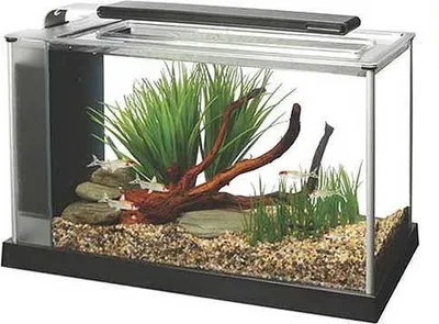 Produktbild von Hagen Fluval SPEC 5 Nano, 52x19x30 cm, 21,1 Ltr , schwarz