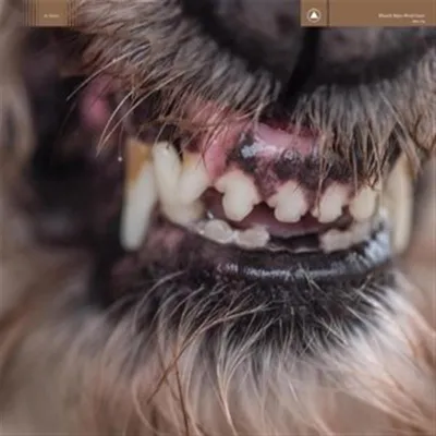 Obrázok produktu pre Blanck Mass: (CD / W)