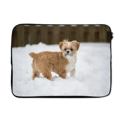 Produktbild von MuchoWow® Laptop Hülle 13 Zoll Shih Tzu Hund spielt im Schnee Laptoptasche - Laptophülle - Sleeve - Rundumschutz