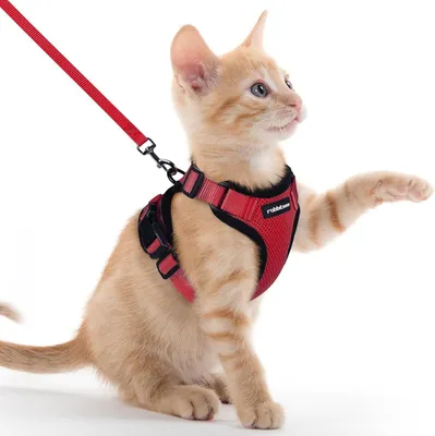 Produktbild von Katzengeschirr mit Leine, weiches Geschirr für Katzen, Brustgeschirr, Katzengeschirr, ausbruchsicher, verstellbare Katzenweste, blau, XXS