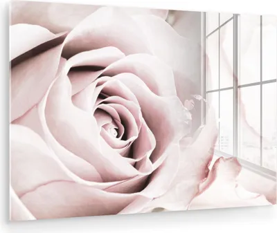Produktbild von MuchoWow Glasbilder - Bilder auf Wandbild - Foto auf Glas Blumen - Rose - Rosa - Botanisch 120x80 cm Wanddekoration aus Glas - Acrylglasbild - Acrylbilder - Abbildung