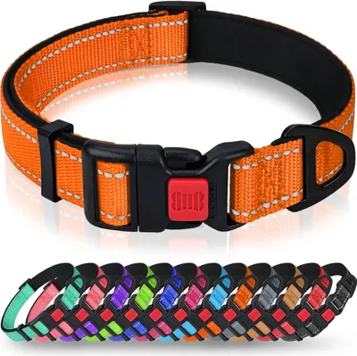 Produktbild von Reflektierendes Nylon Hundehalsband, Verstellbar, Weiche Neoprenpolsterung, Für Mittelgroße Hunde, Orange