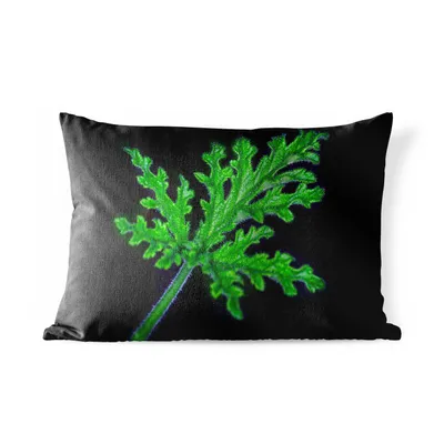Obrázek produktu pro MuchoWow® Vnější polštář - Samostatný zelený list na černém pozadí -60x40 cm- Odolnost proti povětrnostním vlivům - polštář do obývacího pokoje