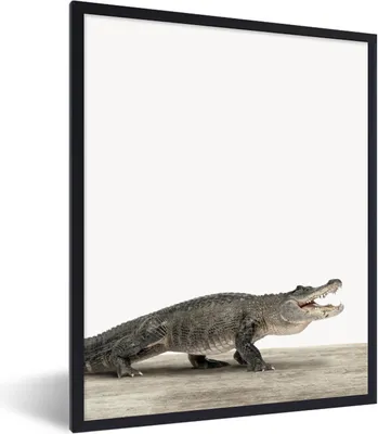 Produktbild von MuchoWow® Gerahmtes Poster Kinder - Krokodil - Junge - Kinder - Mädchen 60x80 cm - Poster mit Schwarzem Bilderrahmen Wandposter Rahmen Foto Bilder - Premium - Wanddeko Wohnzimmer