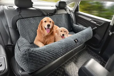 Produktbild von Hundeautositz für große Hunde bis 45,4 kg, abnehmbar und waschbar, grau