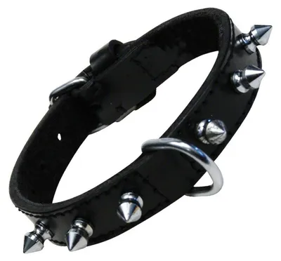 Image de Collier de chien Gloria noir à pointes (35 cm)