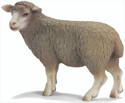 Produktbild von Schleich 13283 Schaf, stehend