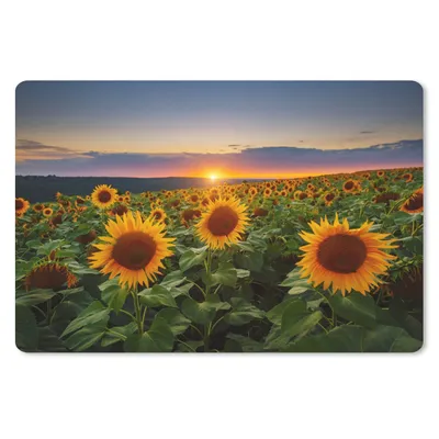 Produktbild von MuchoWow® Mauspad Mousepad Blumen - Nacht - Sonnenuntergang - Sonnenblume - Horizont 27x18 cm - Mousepads - Maus Mat - Pad - Mausunterlage - Büroartikel - Desk Matten