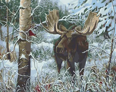 Produktbild von "Malen nach Zahlen: Reh im Wald, 50x40 cm, auf Leinwand auf Keilrahmen."