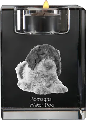 Produktbild von Romagnaischer Wasserhund - Kerzenhalter mit Hundefoto, Teelichthalter aus Kristall, personalisiertes Geschenk der Marke Art-Dog