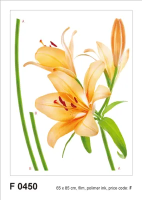 Image de Sanders & Sanders sticker mural fleurs orange et vert 85 x 65 cm