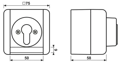 Image de Jung Interrupteur à clé 10AX 250V 1 pôles 833.18 W