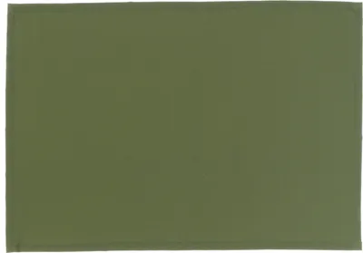 Image de Sets de table Vert unique