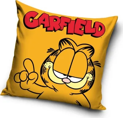 Obrázok produktu pre Obliečka na vankúš Kocúr Garfield