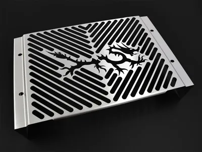 Obrázok produktu pre Kryt chladiča ZIEGER kompatibilný s Yamaha FZS 1000 Fazer BJ 2001-05 Dragon silver