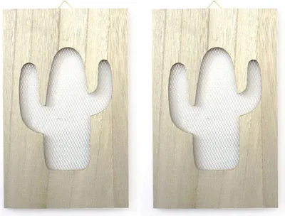 Produktbild von 2 Holzbretter Kaktusmasche 15 x 24 cm